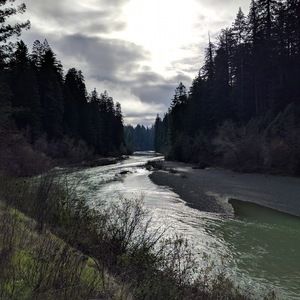 Meet your Posher, Timothy